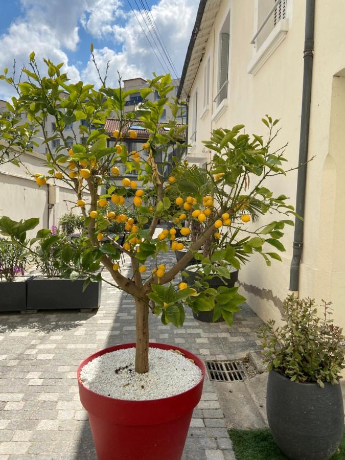 Nid D Amour F1 40M2 Calme Rdc Possibilite Jacuzzi Hammam Chamalières Exteriér fotografie